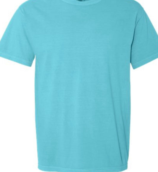 Take Me to Get Chicken - Tee or Sweatshirt