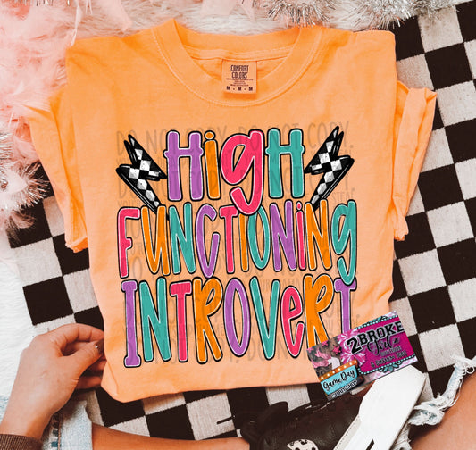 High Functioning Introvert