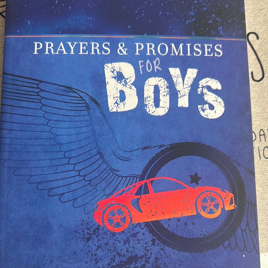 Prayers & Promises for Boys