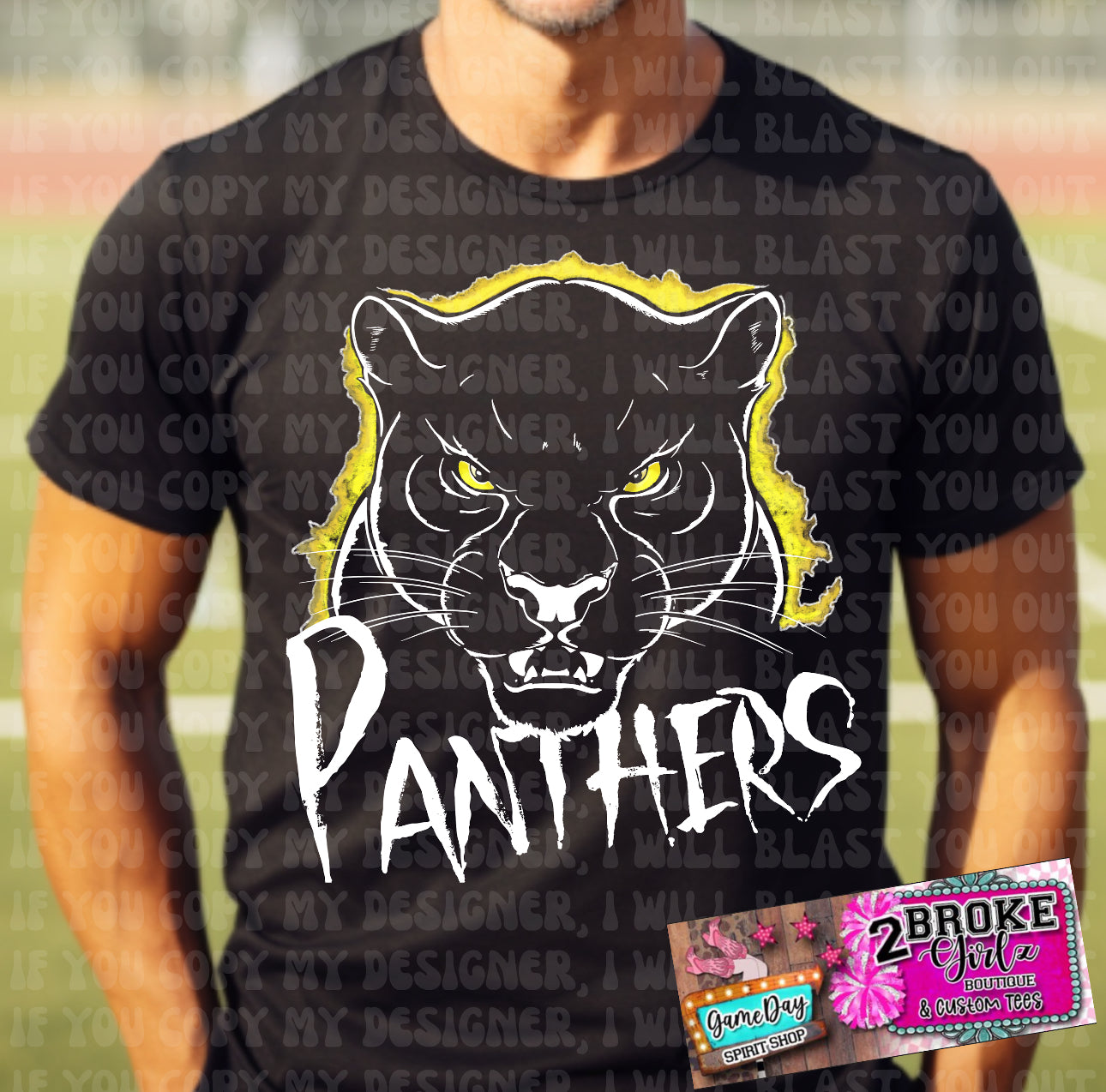 Panthers Tee or Sweatshirt