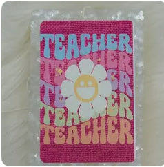 Pink Teacher Freshie